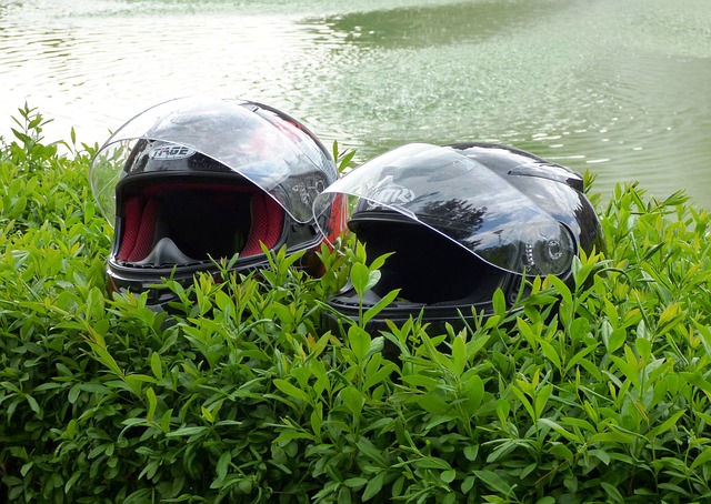 helmy u řeky